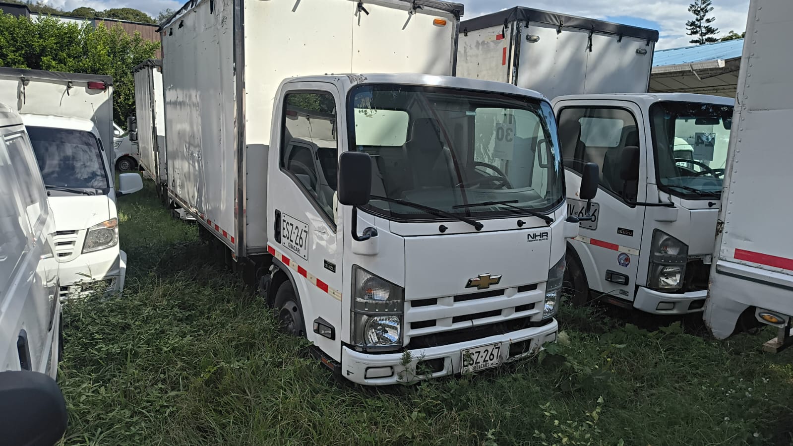 Lote #30 NHR 700P Reward Mt 3000CC