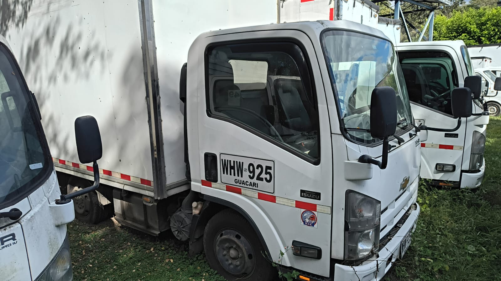 LOTE #48 NHR 700P Reward Mt 3000CC